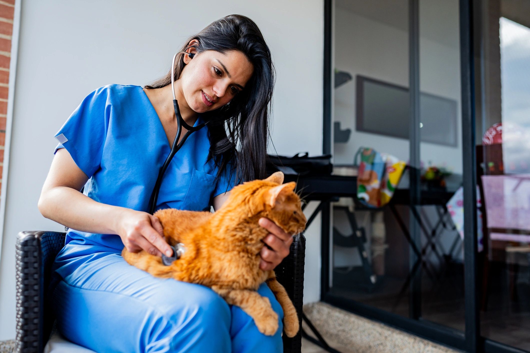 Veterinaria examinando a un gato con estetoscopio