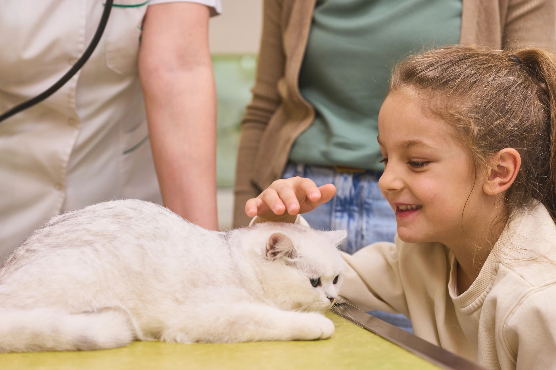 Visita veterinaria tranquila con familia y mascota